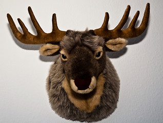 Image showing Stuffed Deer Mount