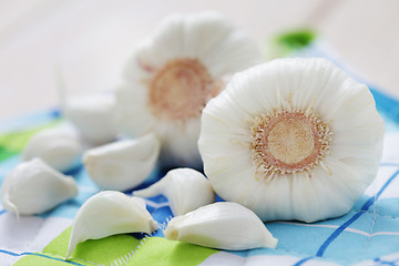 Image showing fresh garlic