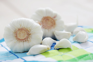 Image showing fresh garlic