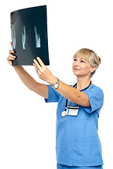 Image showing Orthopedic surgeon holding up x-ray to analyze