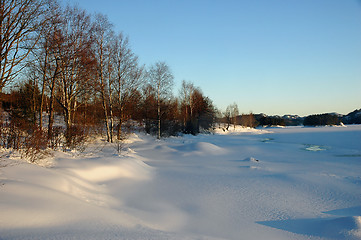 Image showing Coastline