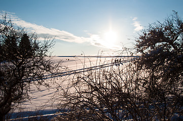 Image showing Walking in powder snow