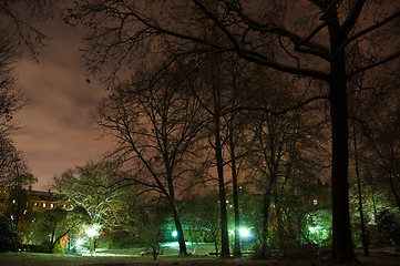 Image showing Snowy park in winter