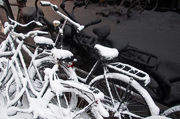 Image showing Bikes In The Snow