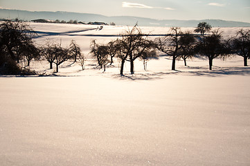 Image showing Walking in powder snow