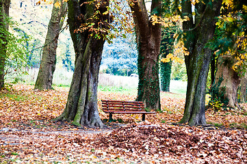 Image showing Fall scenery