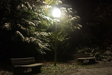 Image showing Nightly park scene