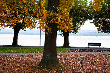 Image showing Lake Constance in fall