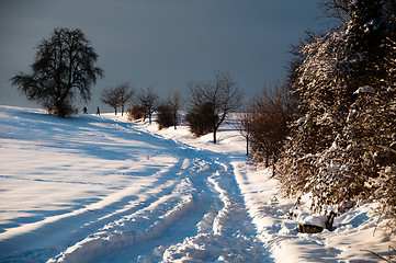 Image showing Walking in powder snow