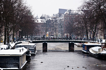 Image showing Amsterdam Canal with House Boats