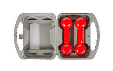 Image showing Red dumbbells in a grey case