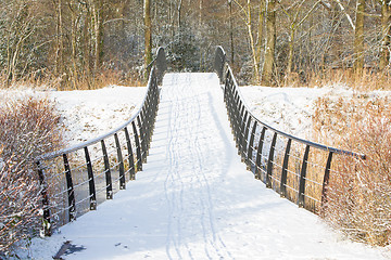 Image showing Metal bridge covered in snow