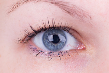 Image showing Close up of inserting a contact lens