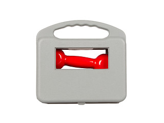 Image showing Red dumbbells in a grey case