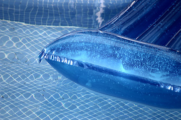 Image showing inflatable on a pool