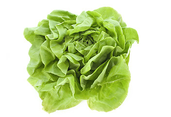 Image showing lettuce 