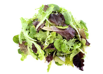 Image showing mesclun salad