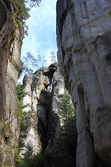 Image showing National nature reserve in Czech Republic