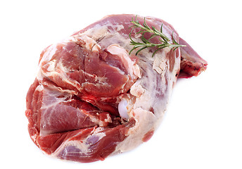 Image showing shoulder of lamb