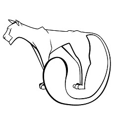 Image showing Black and white panther 