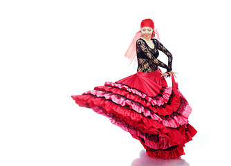 Image showing Flamenco 