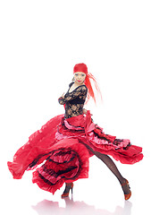 Image showing Flamenco