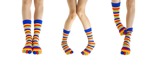 Image showing Legs in socks