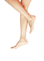 Image showing Legs