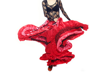 Image showing Flamenco