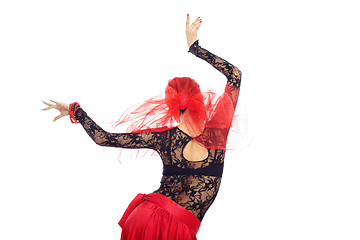 Image showing Back of flamenco dancer