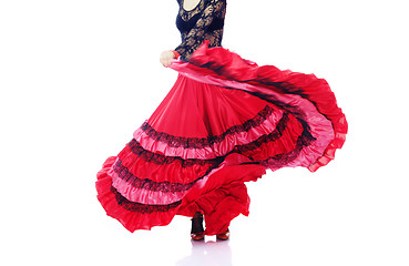 Image showing Flamenco