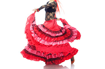 Image showing Flamenco