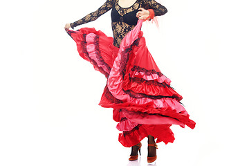 Image showing Flamenco