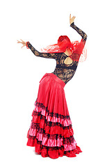 Image showing Flamenco