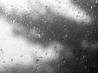 Image showing Raindrops on a window pane with tree shadow in background