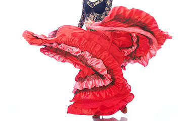 Image showing Gypsy petticoat