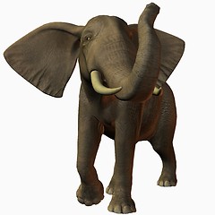 Image showing African Elephant