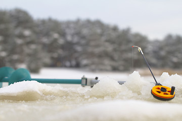 Image showing freshwater perch fishing