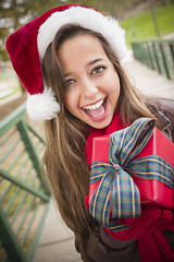 Image showing Pretty Woman Wearing a Santa Hat with Wrapped Gift