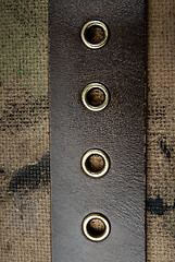 Image showing Part of belt