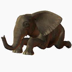 Image showing Baby Elephant