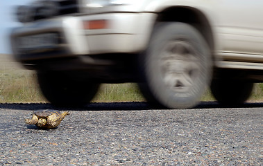 Image showing Danger traffic and Highway Code