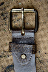 Image showing Belt details