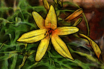 Image showing Yellow Lilly Flower Painting 