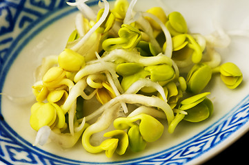 Image showing radish sprouts