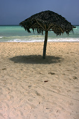 Image showing republica dominicana  coastline 