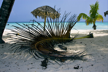 Image showing republica dominicana  beach 