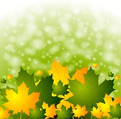 Image showing Bright autumn background