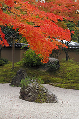 Image showing Autumn Japanese garden