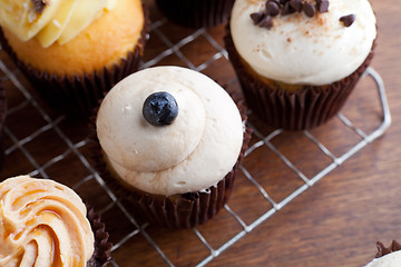 Image showing Gourmet Cupcakes Frosted